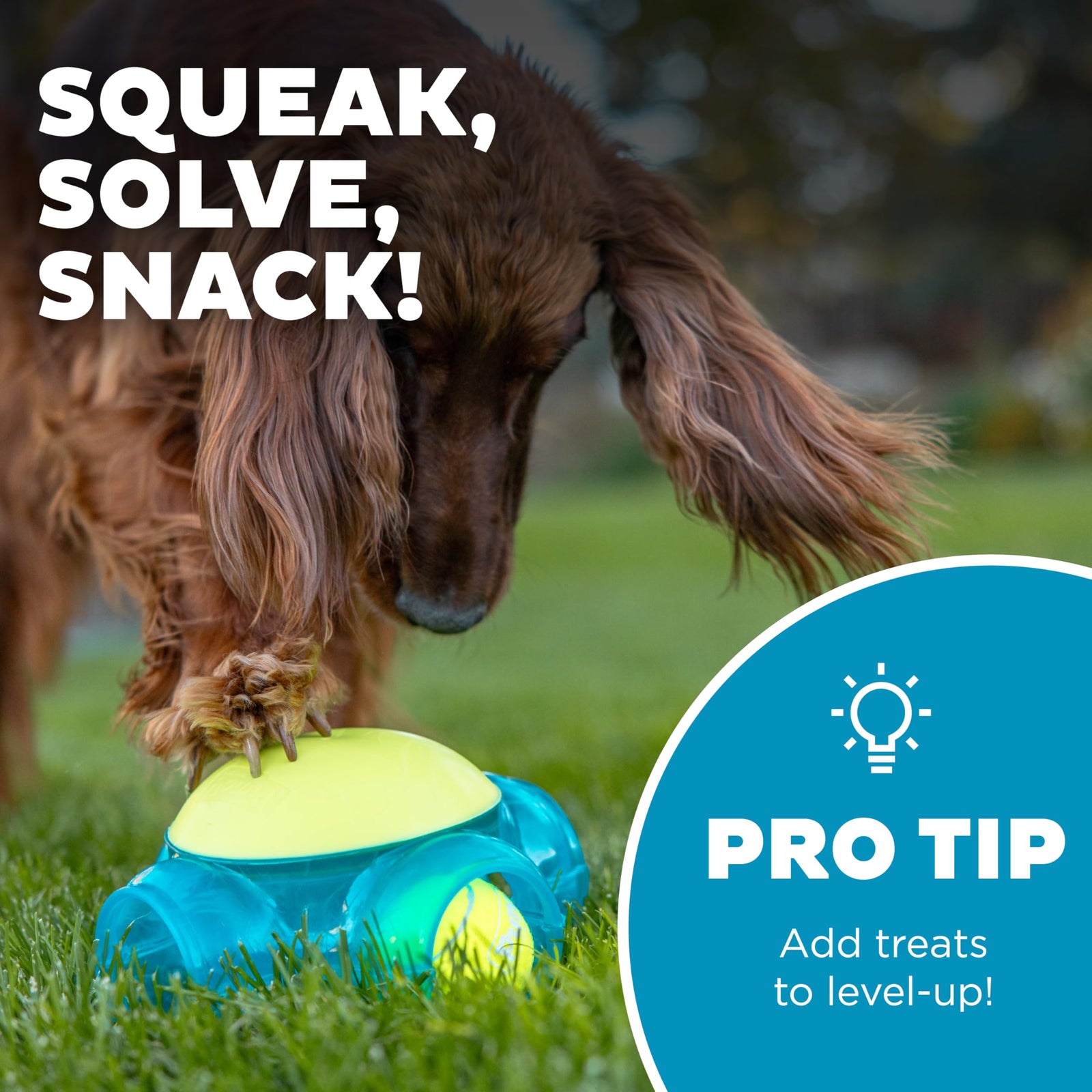 Outward Hound Squeaker Ballz 4-Pack Tennis Ball Dog Toys with Squeaker, Interactive Fetch Play for Pets Under 25 lbs, Training Balls for Indoor & Outdoor Exercise, Small, 2-inch