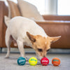 Outward Hound Squeaker Ballz 4-Pack Tennis Ball Dog Toys with Squeaker, Interactive Fetch Play for Pets Under 25 lbs, Training Balls for Indoor & Outdoor Exercise, Small, 2-inch