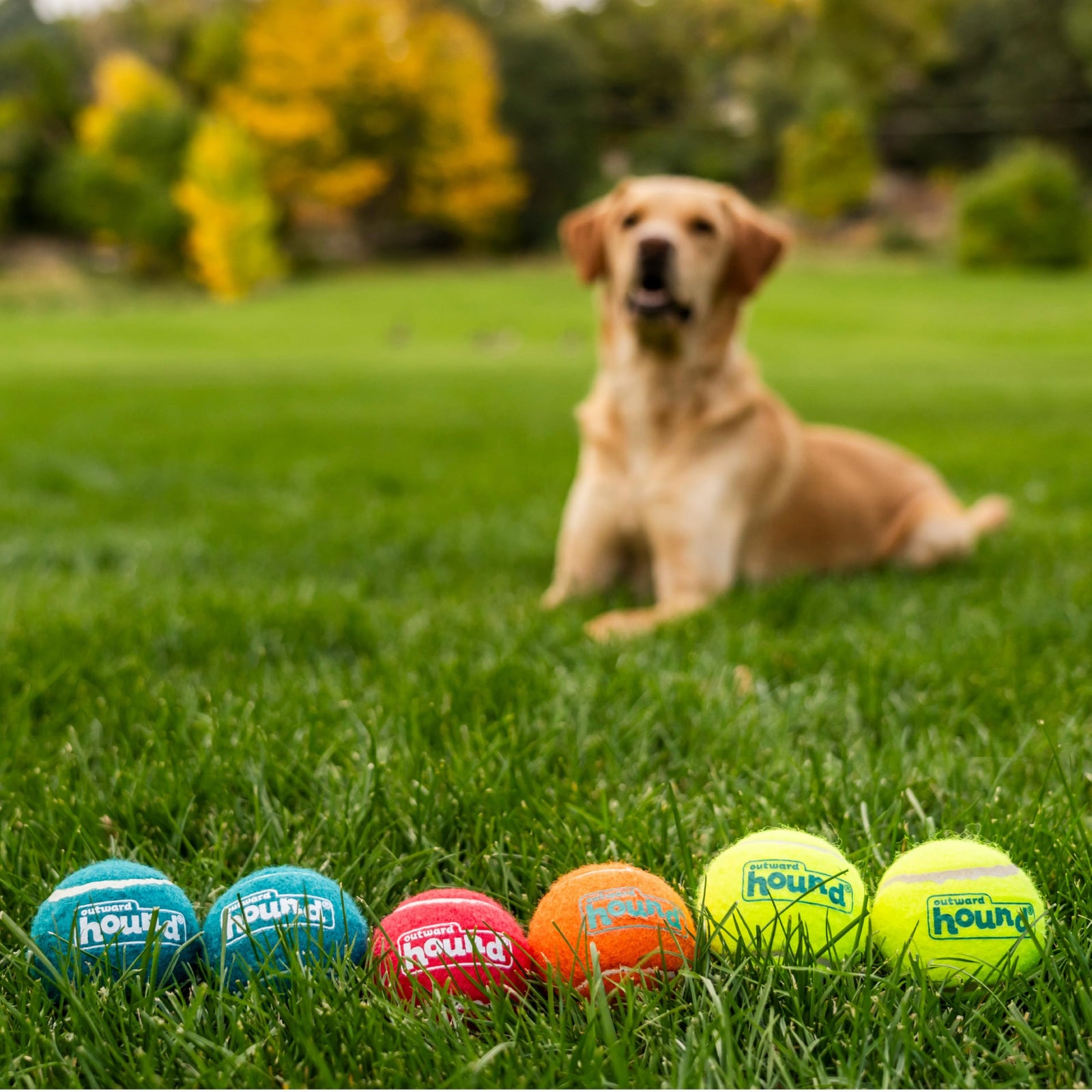 Outward Hound Squeaker Ballz 4-Pack Tennis Ball Dog Toys with Squeaker, Interactive Fetch Play for Pets Under 25 lbs, Training Balls for Indoor & Outdoor Exercise, Small, 2-inch