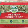Oxbow Western Timothy Hay, Guinea Pig Hay, Small Pet Bunny Supplies, All Natural Grass for Guinea Pig, Bunny, Chinchilla & Hamster, Oxbow Rabbit Supplies for Bunnies, 90 oz. bag