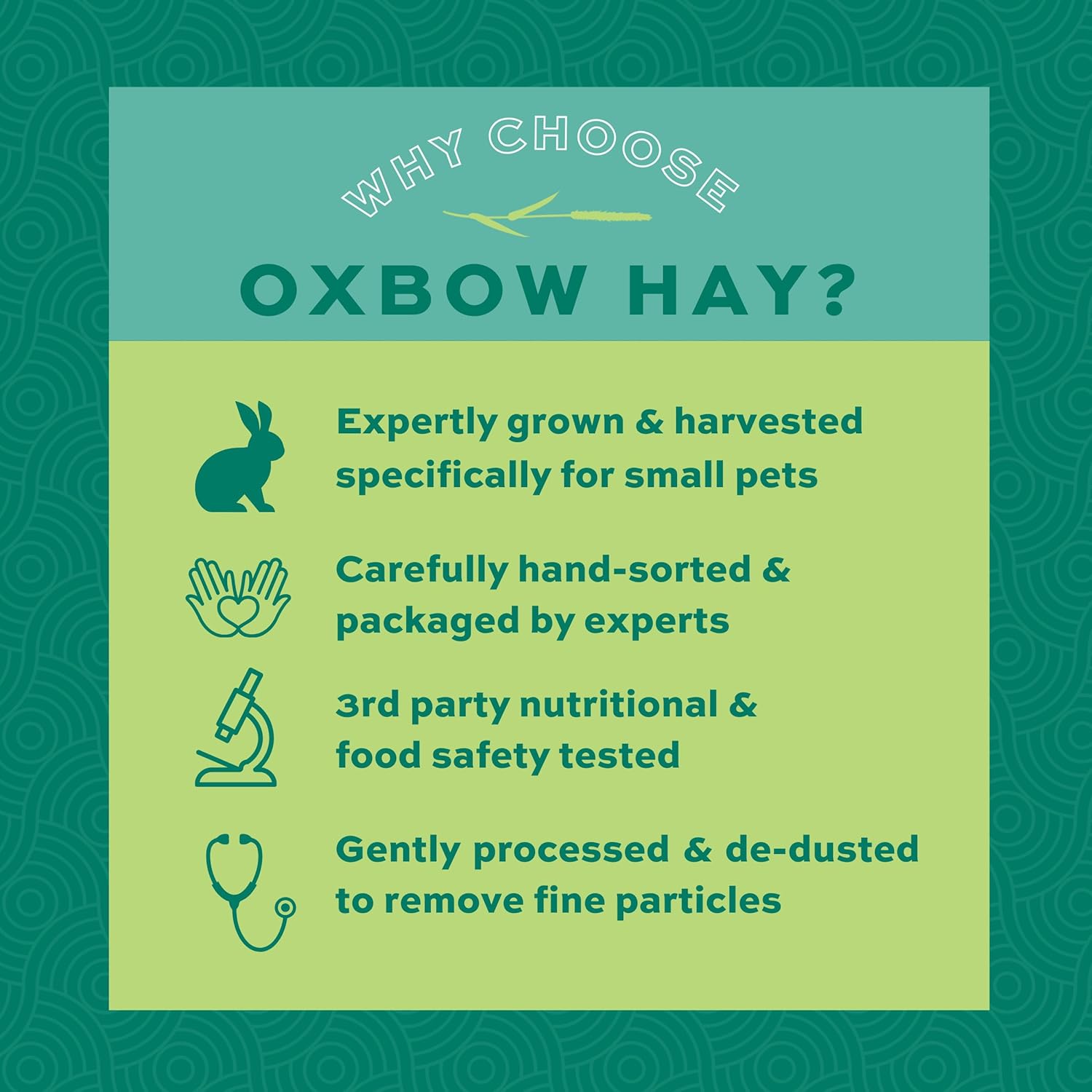 Oxbow Western Timothy Hay, Guinea Pig Hay, Small Pet Bunny Supplies, All Natural Grass for Guinea Pig, Bunny, Chinchilla & Hamster, Oxbow Rabbit Supplies for Bunnies, 90 oz. bag