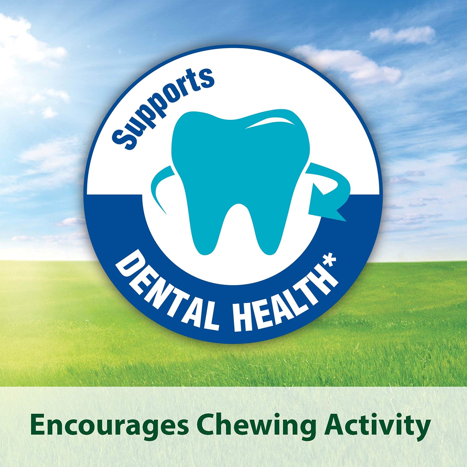 Kaytee Timothy Biscuits, Apple, for Guinea Pigs & Rabbits | Baked Treat | 4 oz | Pack of 2 | Small Animals