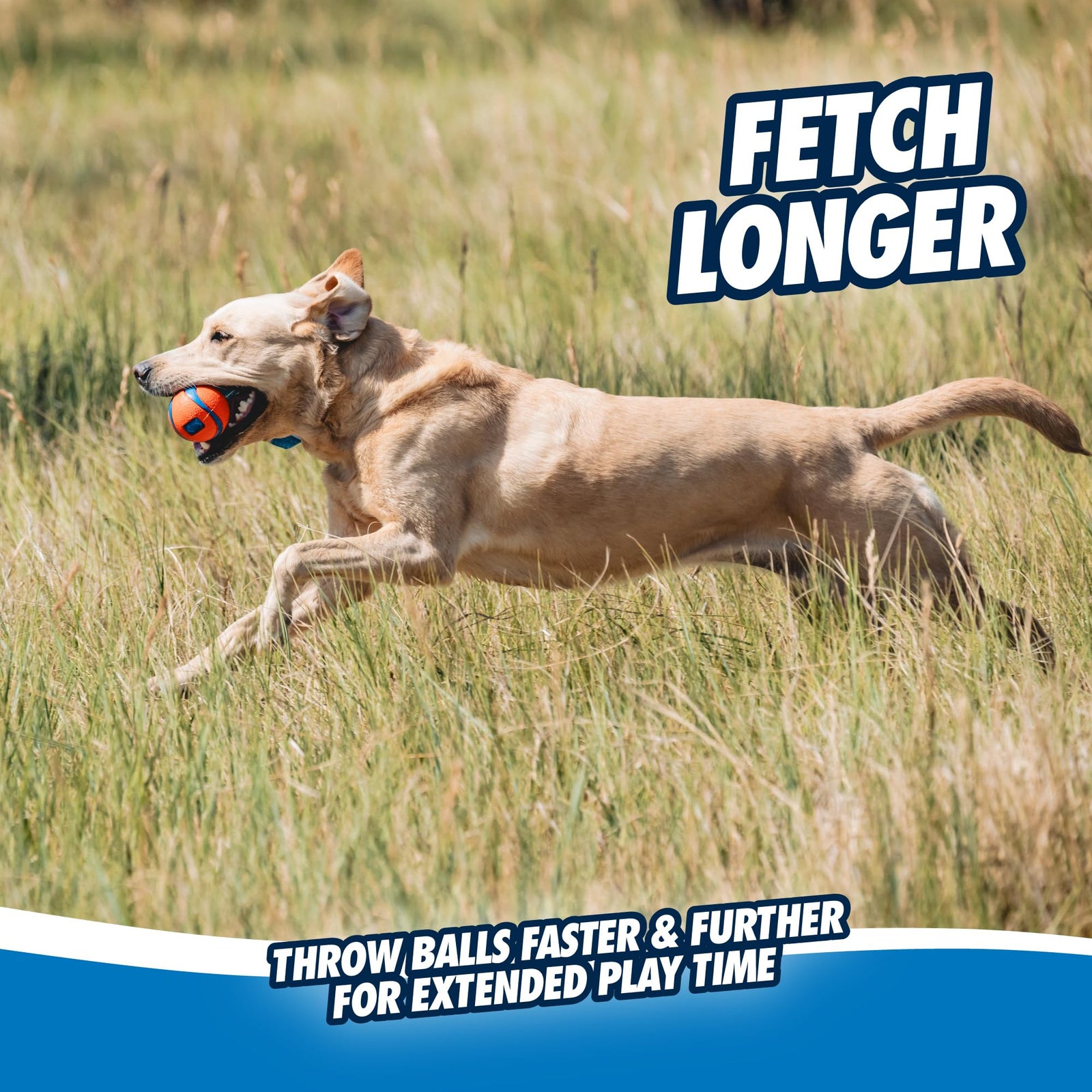 Chuckit! Ultra Tug Dog Toy, Small Fetch and Dog Ball Tug Toy for Dogs 0-20 Pounds