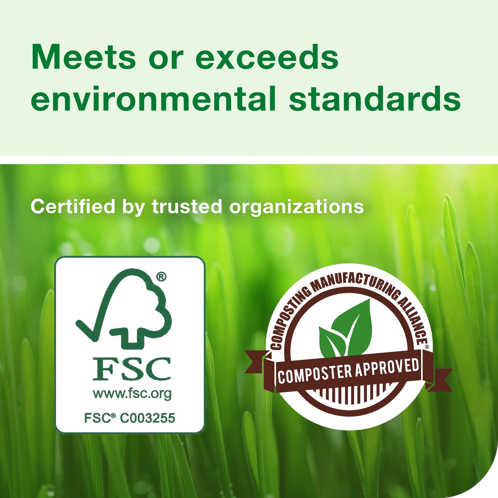 Tork Hand Towel Roll, Natural, Universal, H80, Extra Large, 100% Recycled, 1-Ply, 6 Rolls x 1000 ft, 8031000