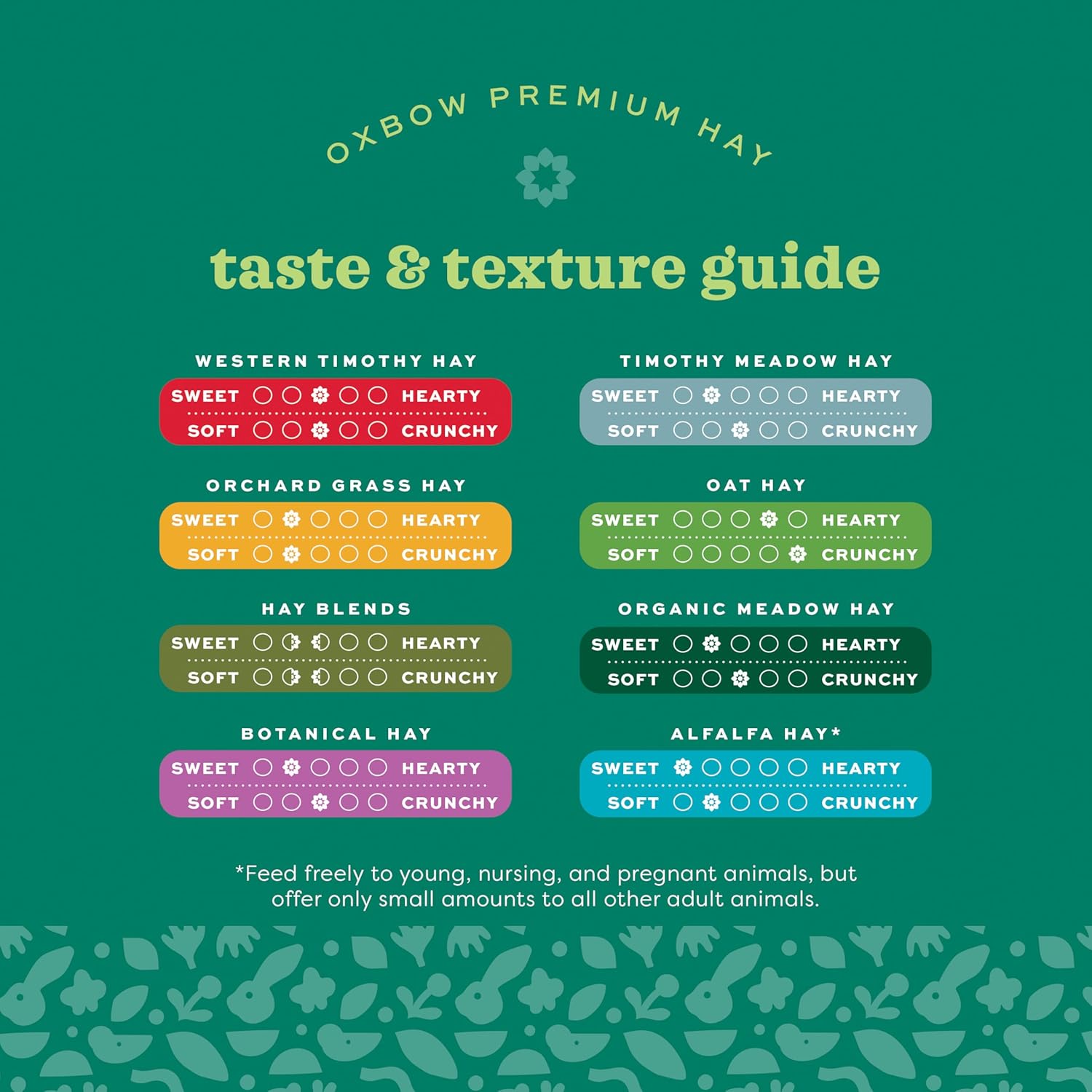 Oxbow Western Timothy Hay, Guinea Pig Hay, Small Pet Bunny Supplies, All Natural Grass for Guinea Pig, Bunny, Chinchilla & Hamster, Oxbow Rabbit Supplies for Bunnies, 90 oz. bag