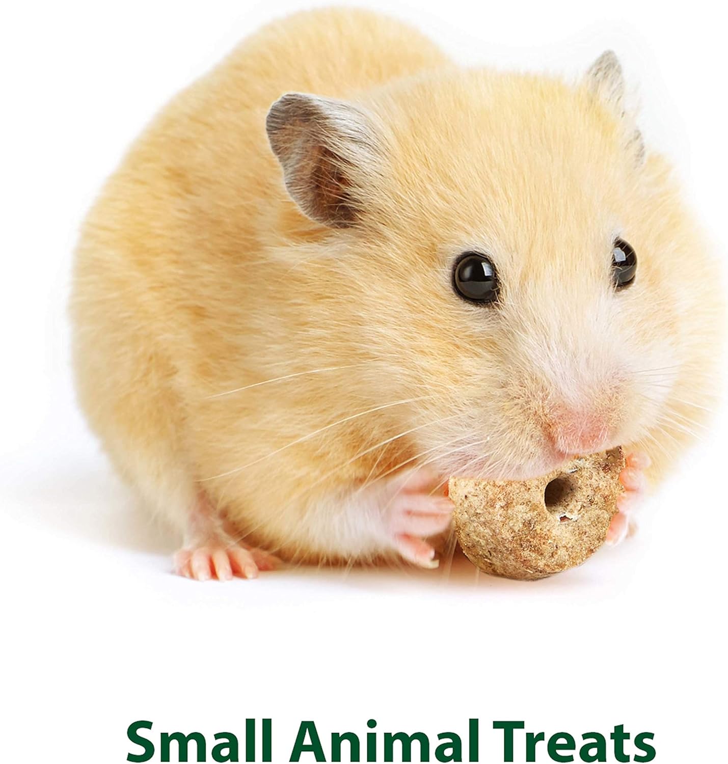 Kaytee Timothy Biscuits Baked Treat for Pet Guinea Pigs, Rabbits & Other Small Animals, Carrot, 4 oz (Pack of 2)