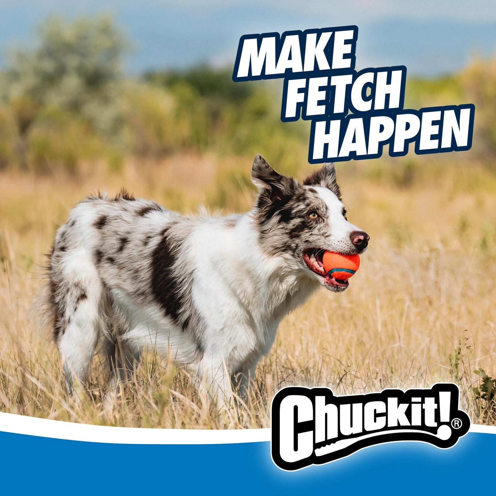 Chuckit! Ultra Ball & Launcher Bundle - Classic 26" with 2 Pack Medium (2.5") Bouncy Fetch Balls for Dogs 20-60 lbs, Dog Fetch Ball Thrower