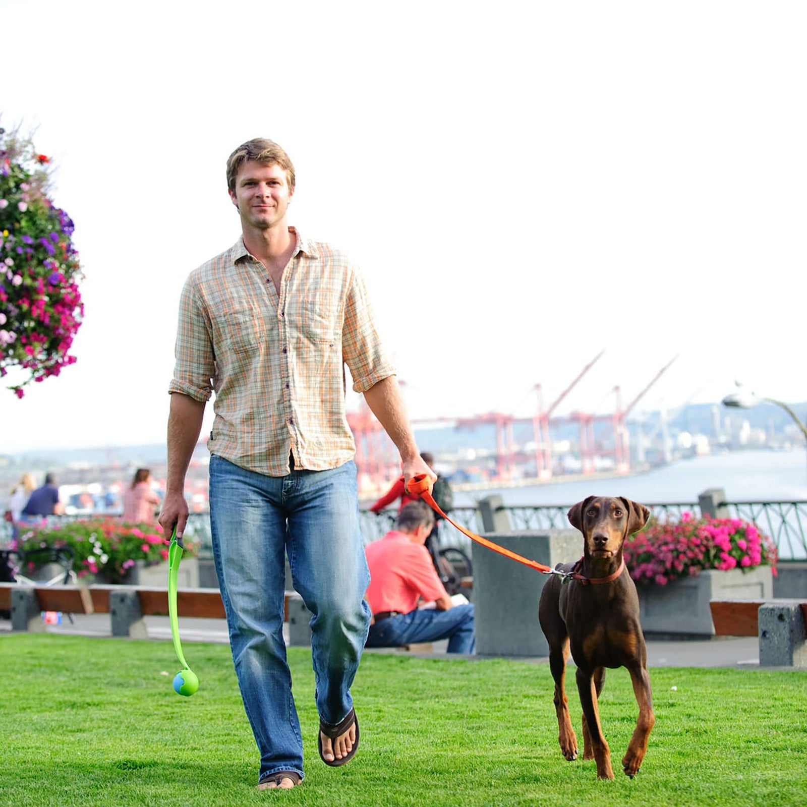 Chuckit! Ultra Ball & Launcher Bundle - Classic 26" with 2 Pack Medium (2.5") Bouncy Fetch Balls for Dogs 20-60 lbs, Dog Fetch Ball Thrower
