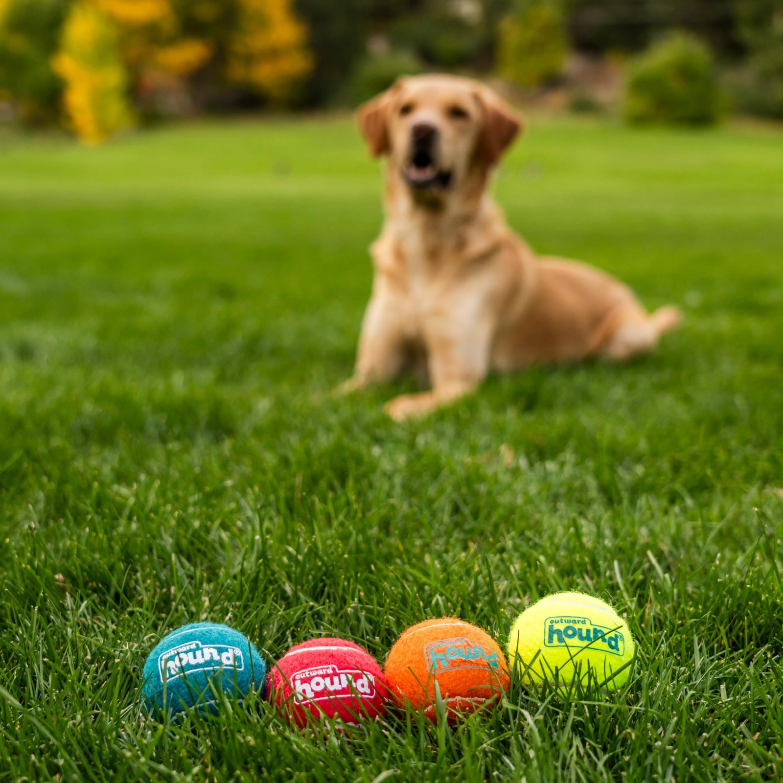 Outward Hound Squeaker Ballz 4-Pack Tennis Ball Dog Toys with Squeaker, Interactive Fetch Play for Pets Under 25 lbs, Training Balls for Indoor & Outdoor Exercise, Small, 2-inch