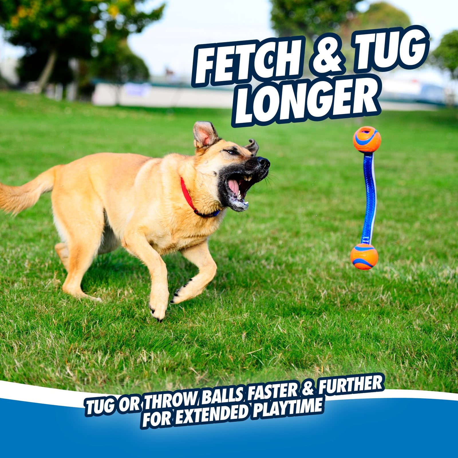 Chuckit! Ultra Tug Dog Toy, Small Fetch and Dog Ball Tug Toy for Dogs 0-20 Pounds