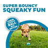 Outward Hound Squeaker Ballz 4-Pack Tennis Ball Dog Toys with Squeaker, Interactive Fetch Play for Pets Under 25 lbs, Training Balls for Indoor & Outdoor Exercise, Small, 2-inch