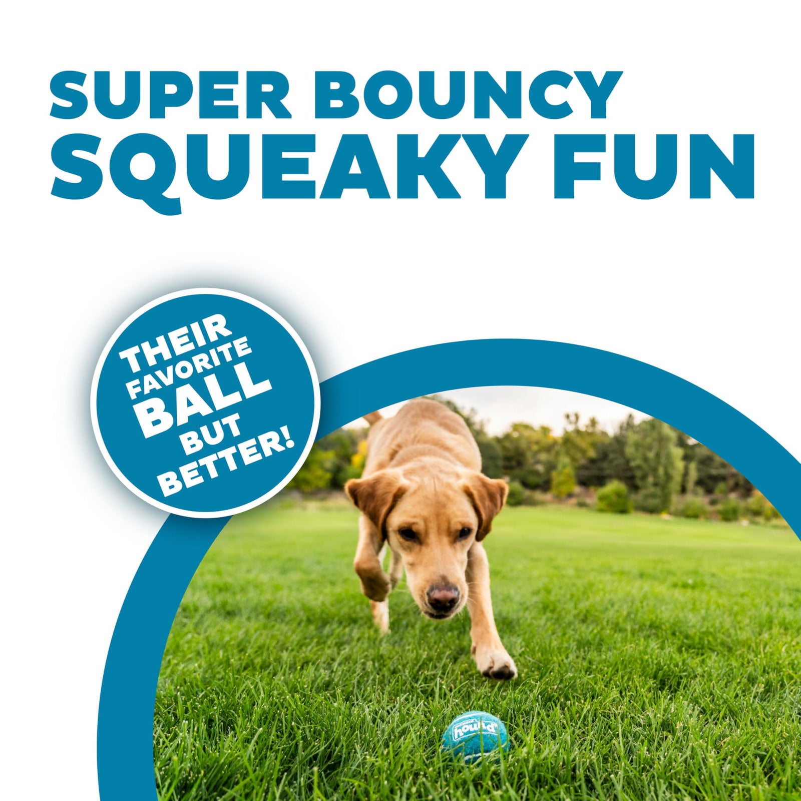 Outward Hound Squeaker Ballz 4-Pack Tennis Ball Dog Toys with Squeaker, Interactive Fetch Play for Pets Under 25 lbs, Training Balls for Indoor & Outdoor Exercise, Small, 2-inch
