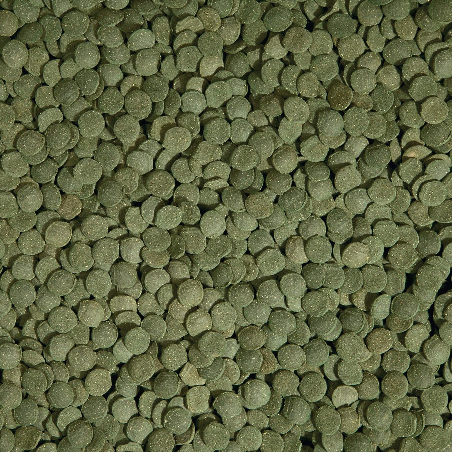 Tetra PlecoWafers 86 Grams, Nutritionally Balanced Fish Food For Algae Eaters , 3.03 Ounce (Pack of 1)