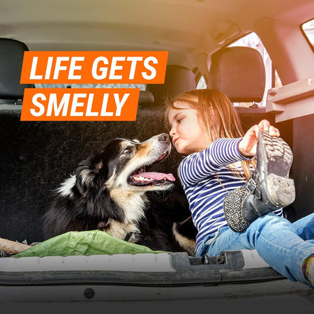 Armor All Car Air Freshener and Purifier, Car Odor Eliminator, Stocking Stuffers, 1.5 Ounce (Pack of 3)