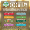 Oxbow Western Timothy Hay, Guinea Pig Hay, Small Pet Bunny Supplies, All Natural Grass for Guinea Pig, Bunny, Chinchilla & Hamster, Oxbow Rabbit Supplies for Bunnies, 90 oz. bag