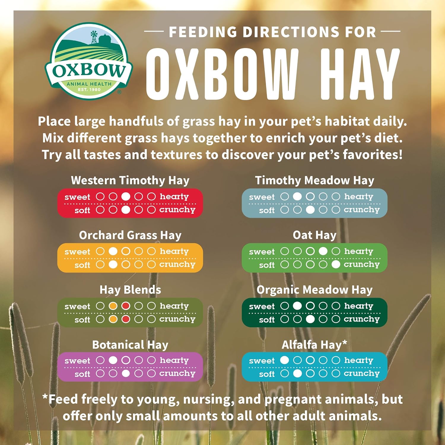 Oxbow Western Timothy Hay, Guinea Pig Hay, Small Pet Bunny Supplies, All Natural Grass for Guinea Pig, Bunny, Chinchilla & Hamster, Oxbow Rabbit Supplies for Bunnies, 90 oz. bag