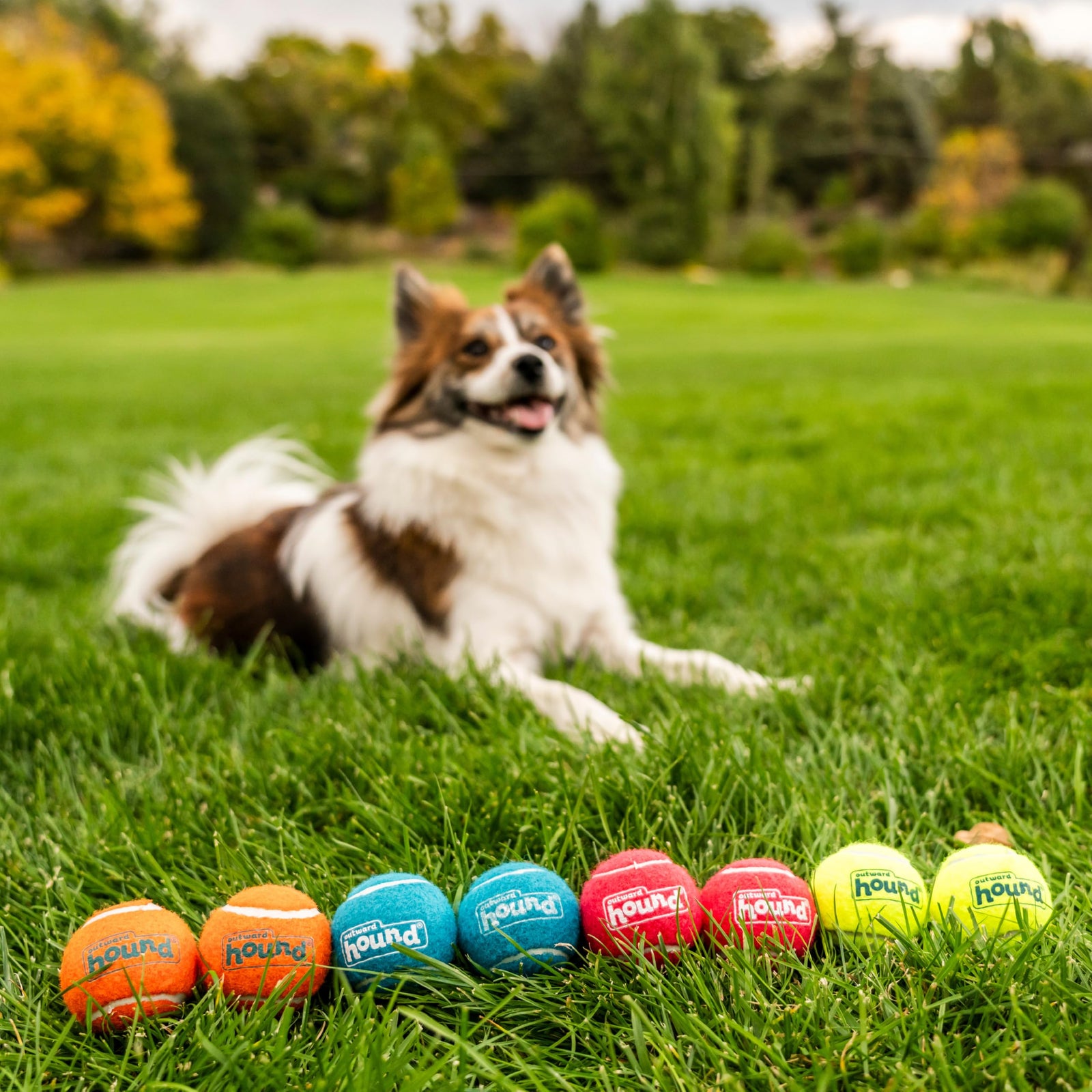 Outward Hound Squeaker Ballz 4-Pack Tennis Ball Dog Toys with Squeaker, Interactive Fetch Play for Pets Under 25 lbs, Training Balls for Indoor & Outdoor Exercise, Small, 2-inch