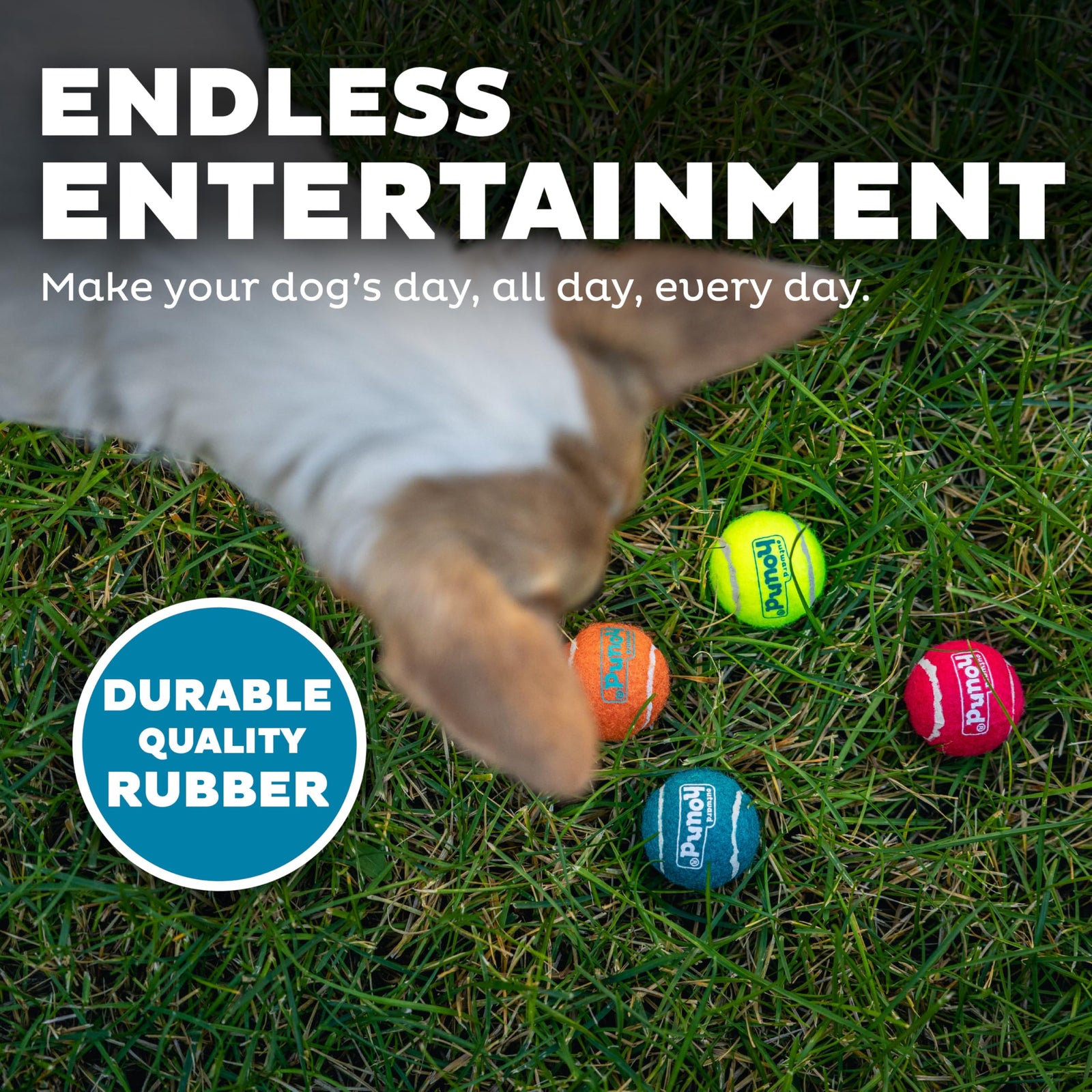 Outward Hound Squeaker Ballz 4-Pack Tennis Ball Dog Toys with Squeaker, Interactive Fetch Play for Pets Under 25 lbs, Training Balls for Indoor & Outdoor Exercise, Small, 2-inch