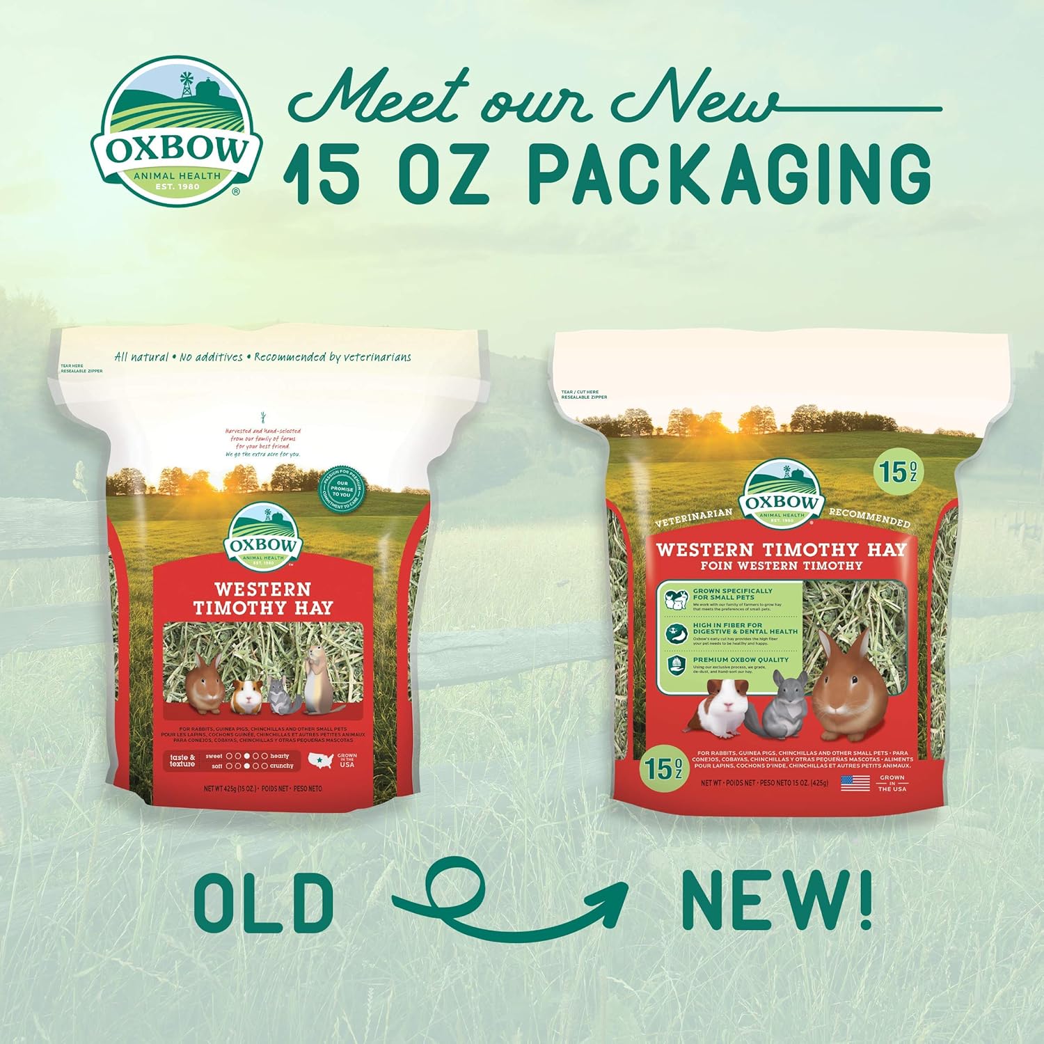 Oxbow Western Timothy Hay, Guinea Pig Hay, Small Pet Bunny Supplies, All Natural Grass for Guinea Pig, Bunny, Chinchilla & Hamster, Oxbow Rabbit Supplies for Bunnies, 90 oz. bag