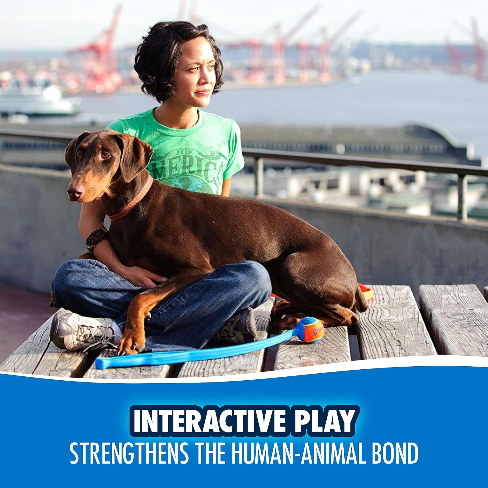 Chuckit! Ultra Ball & Launcher Bundle - Classic 26" with 2 Pack Medium (2.5") Bouncy Fetch Balls for Dogs 20-60 lbs, Dog Fetch Ball Thrower