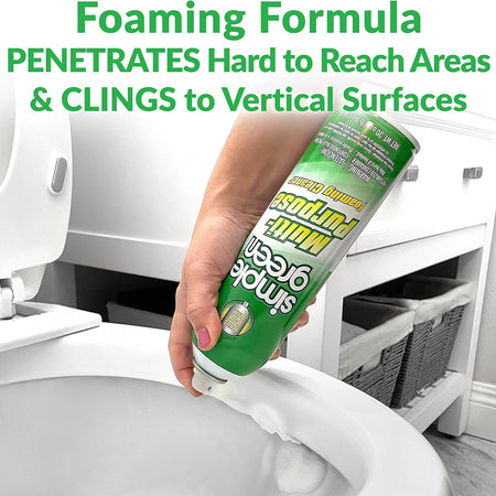 Simple Green All-Purpose Foaming Aerosol Cleaner, All-Purpose Cleaning and Degreasing, 20 Oz (Pack of 2)