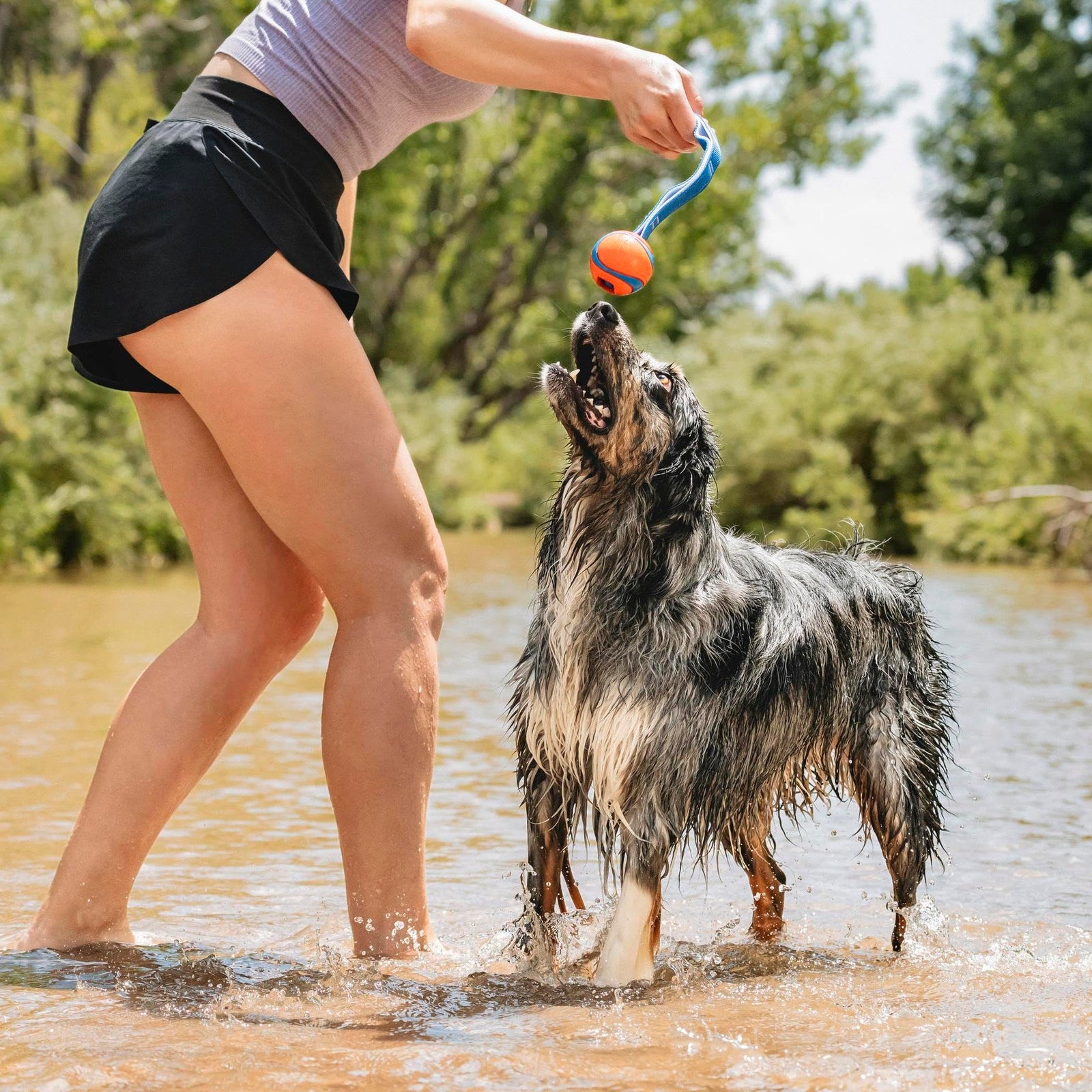 Chuckit! Ultra Tug Dog Toy, Small Fetch and Dog Ball Tug Toy for Dogs 0-20 Pounds