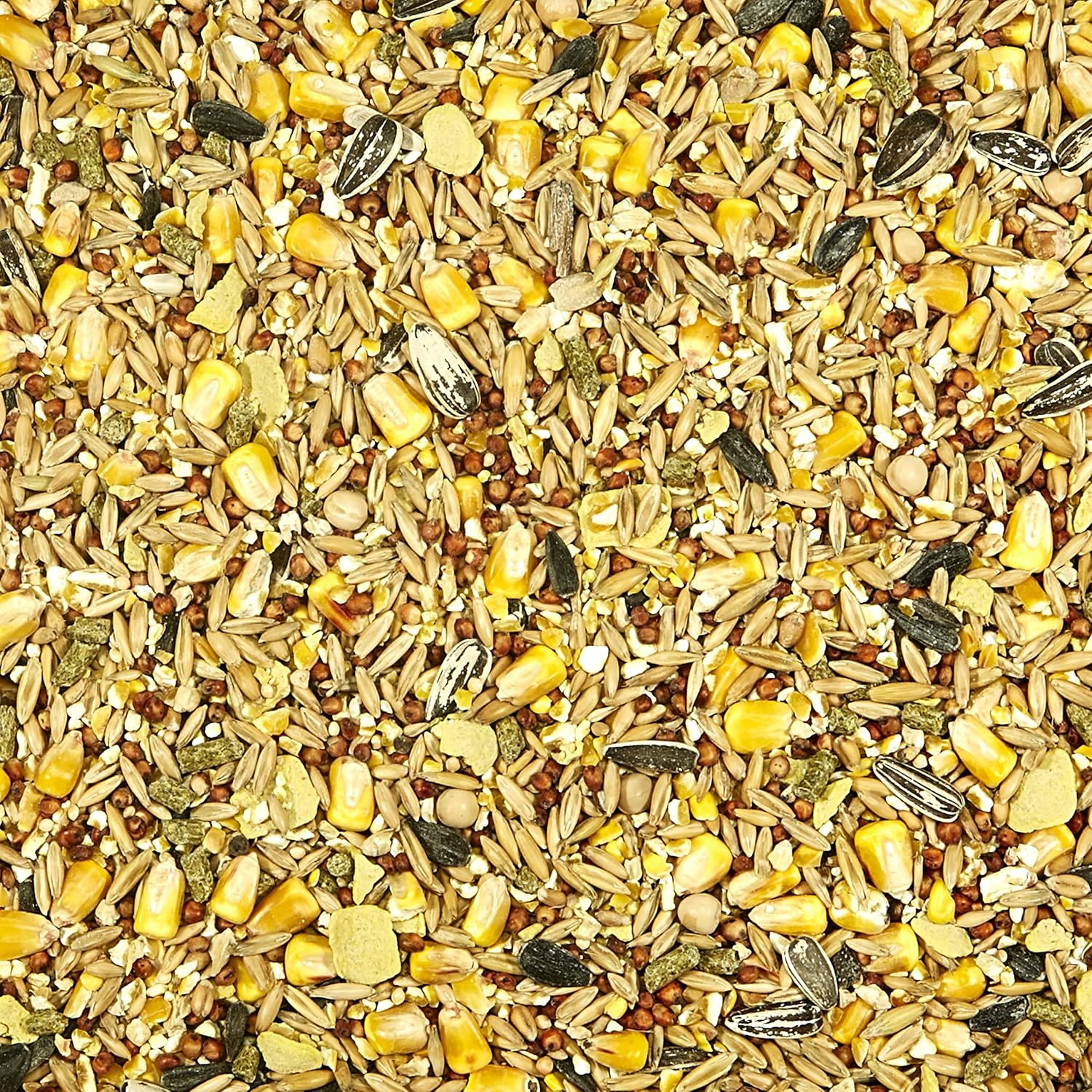 Kaytee Wildlife Food, for Squirrels Chipmunks Rabbits, 5 Pound | Pack of 2