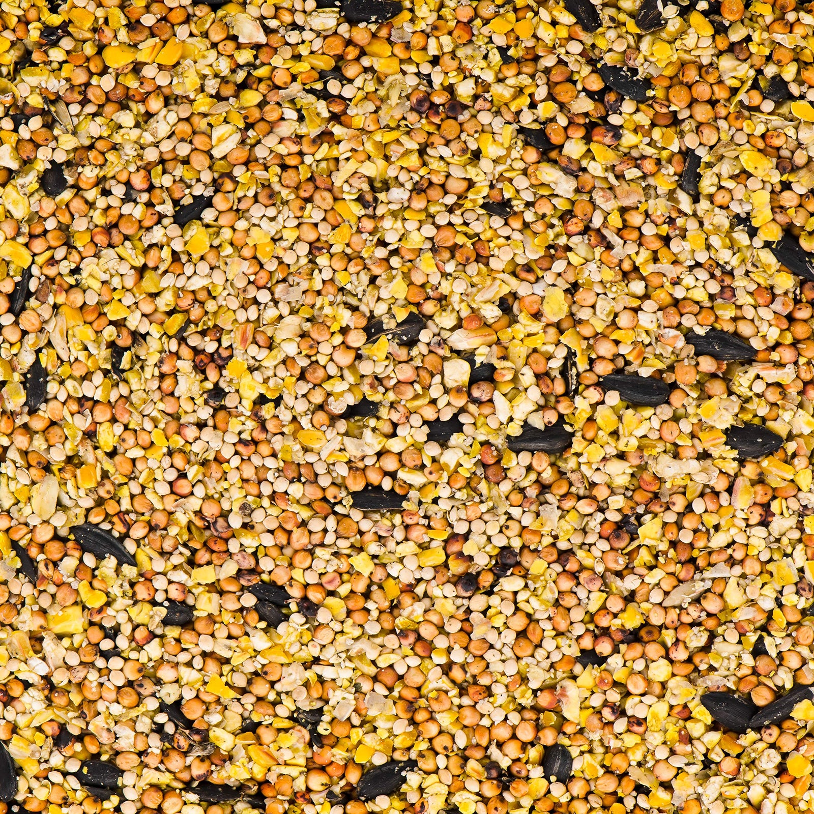 Kaytee All American Wild Bird Food Seed Blend, 5 Pound